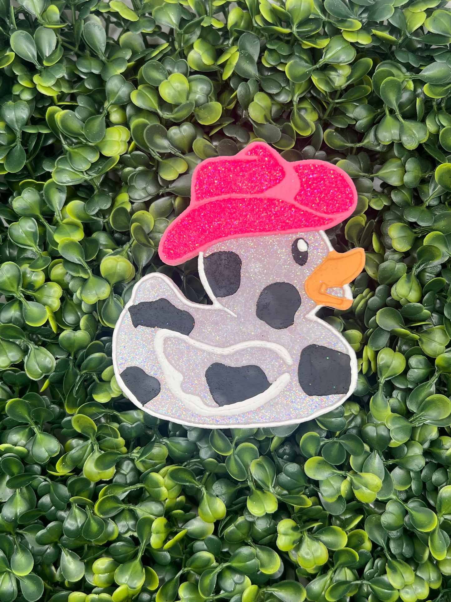 Western Duck