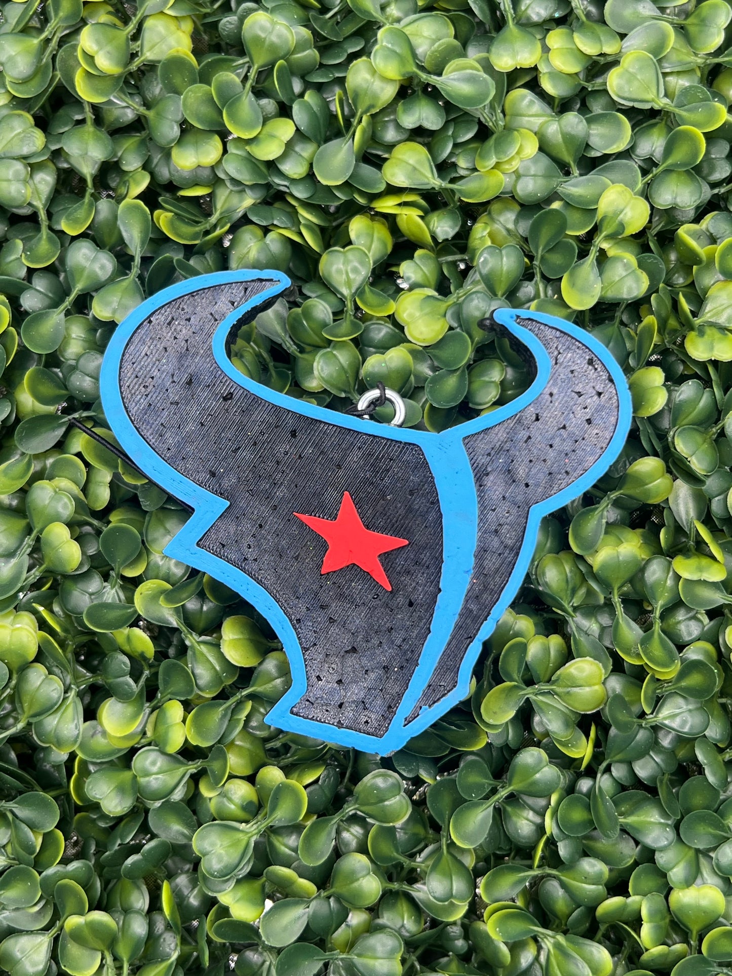 Texans (new logo)