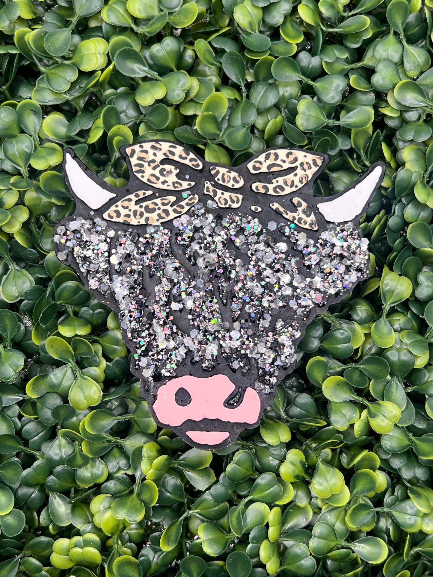 Cow Head