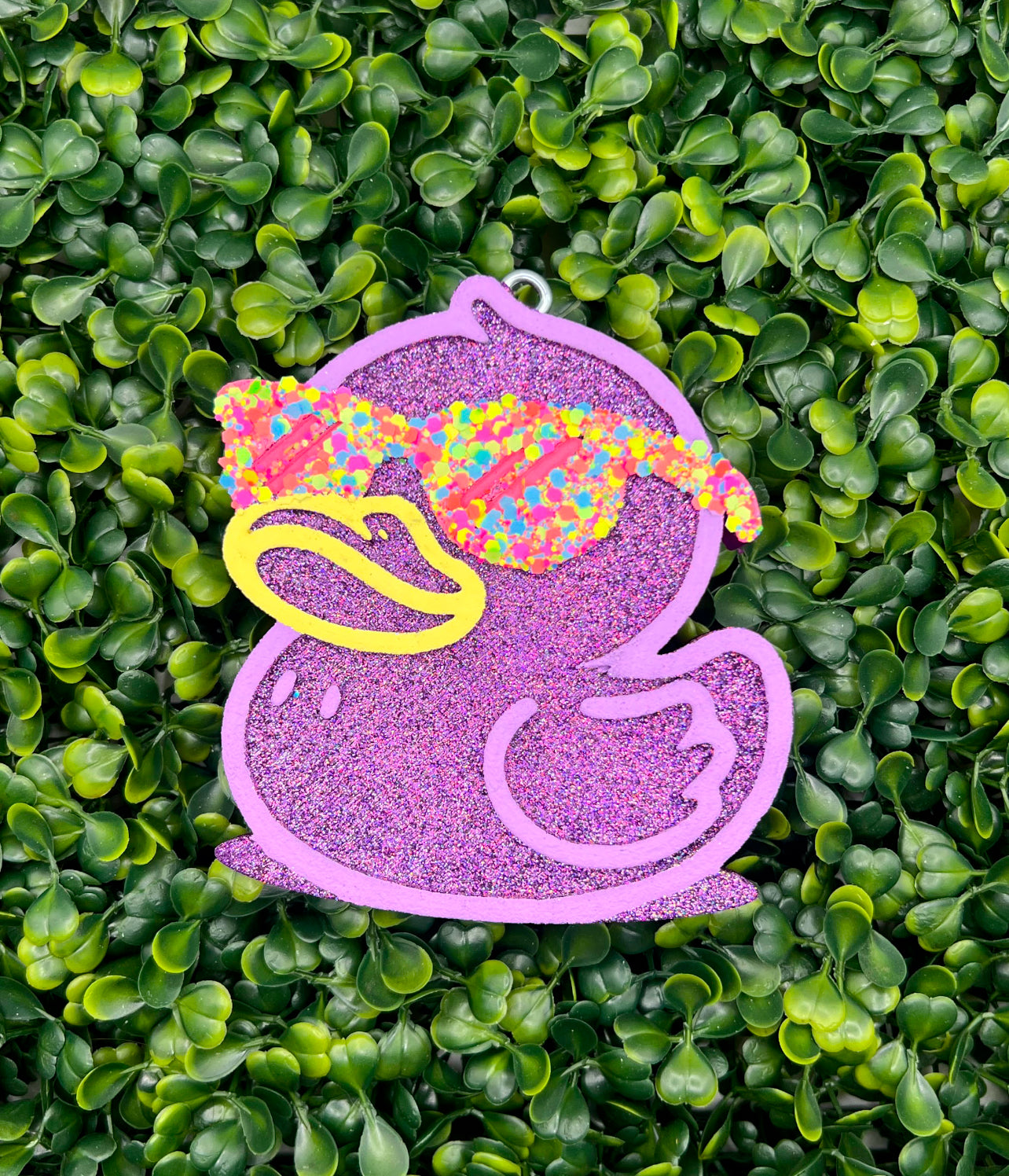 Summer Duck