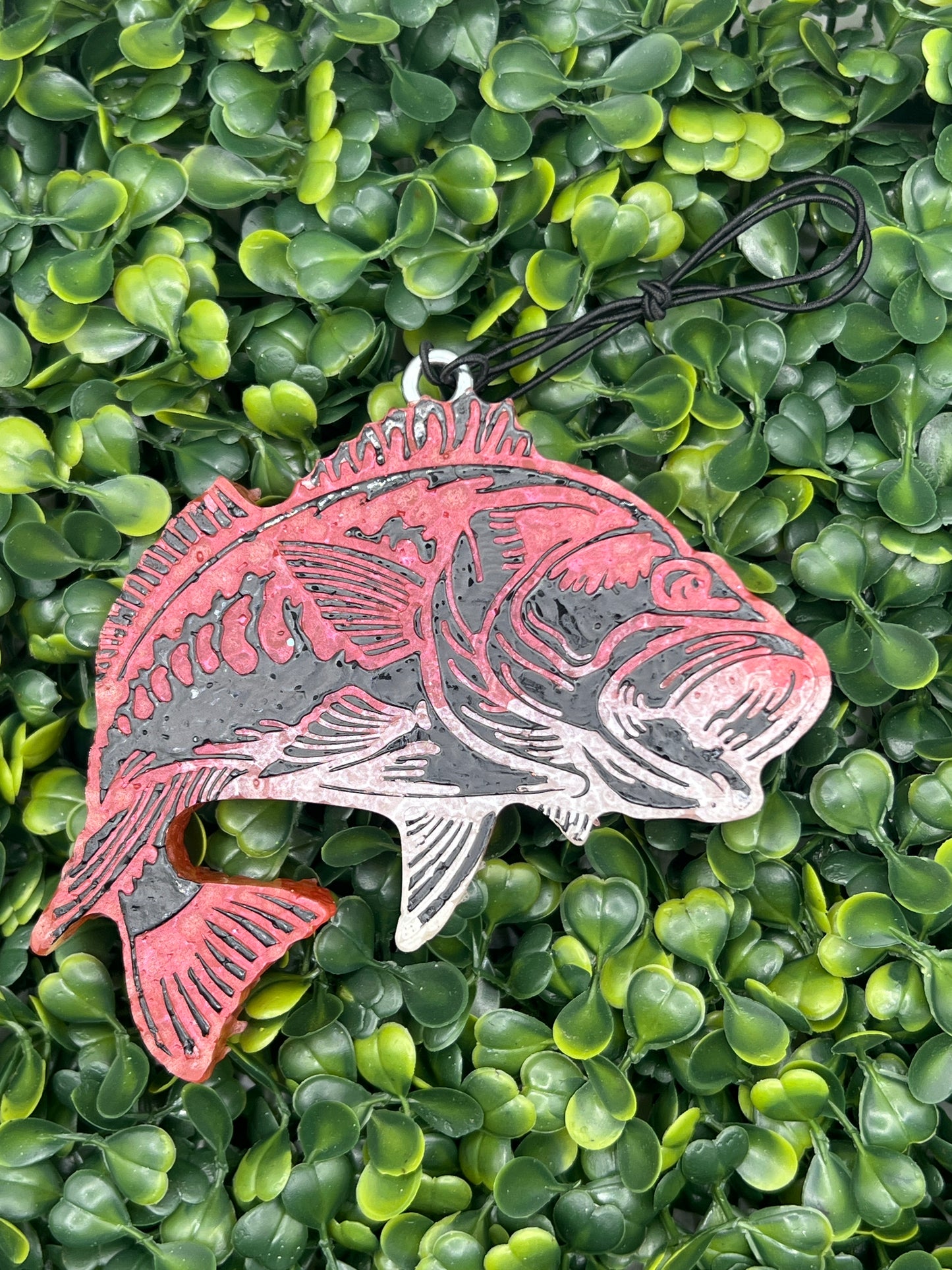 Fish