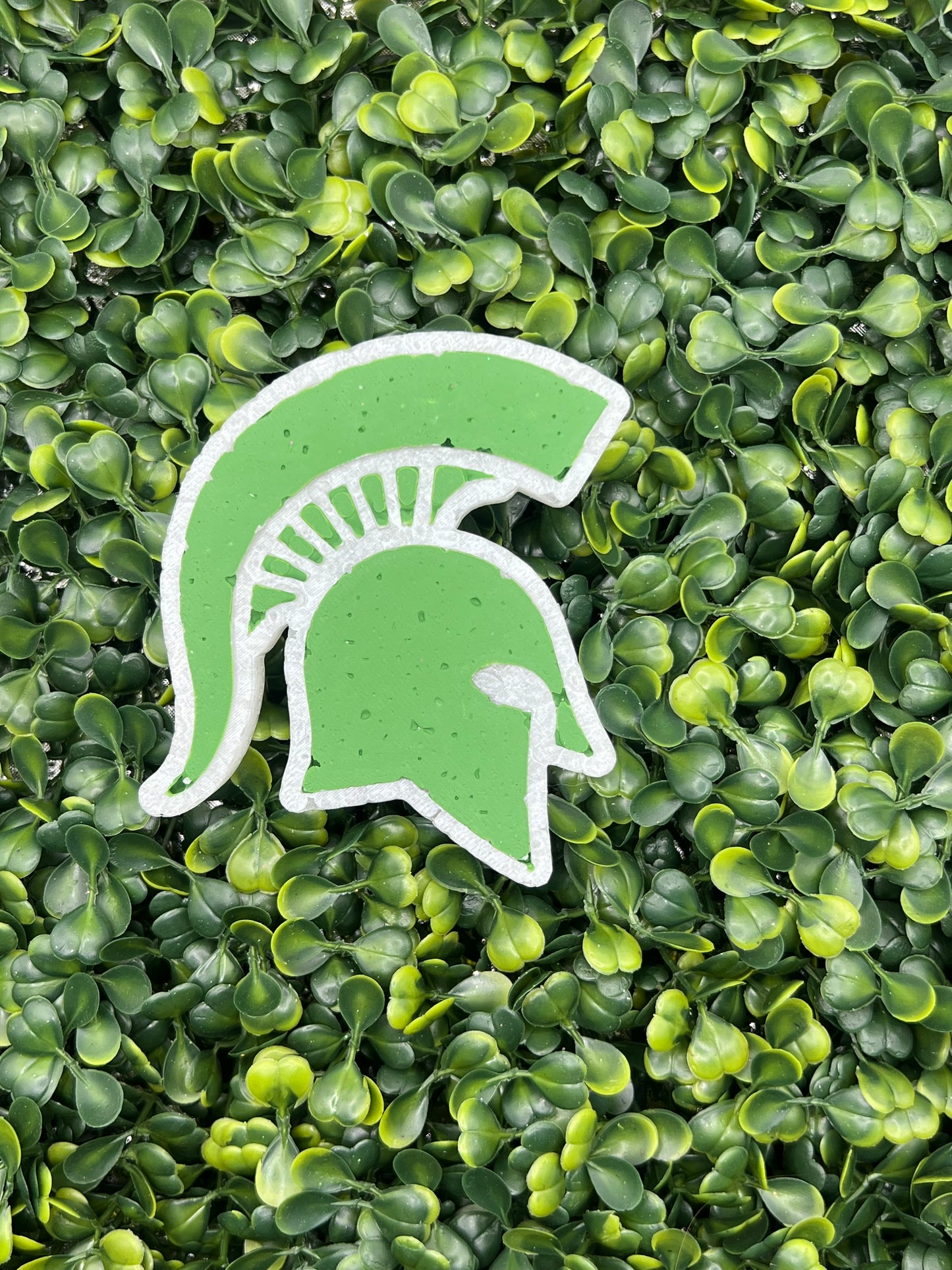 Michigan State