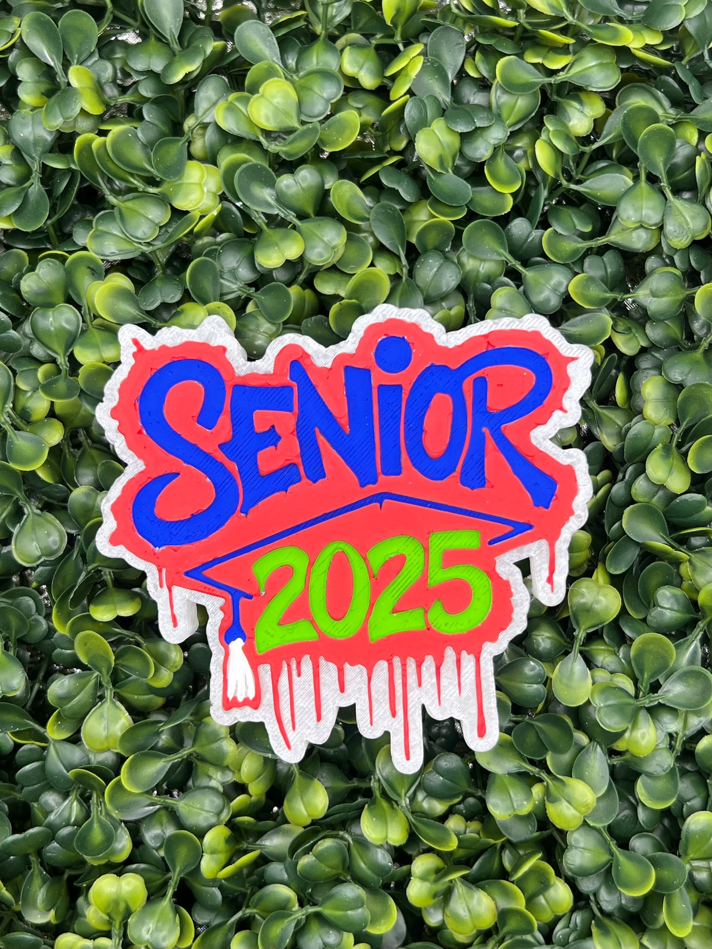 Senior 2025