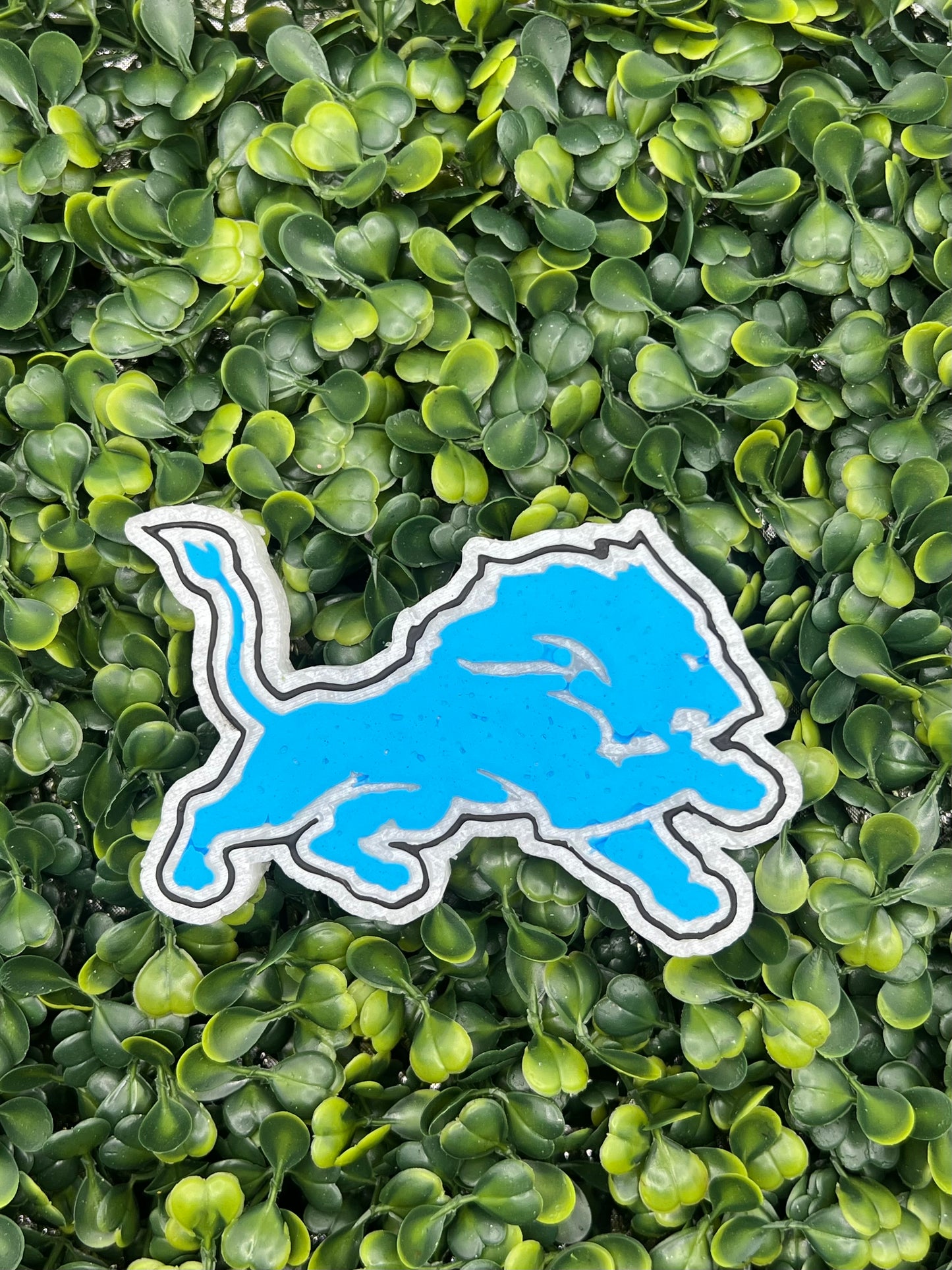 Detroit Lions