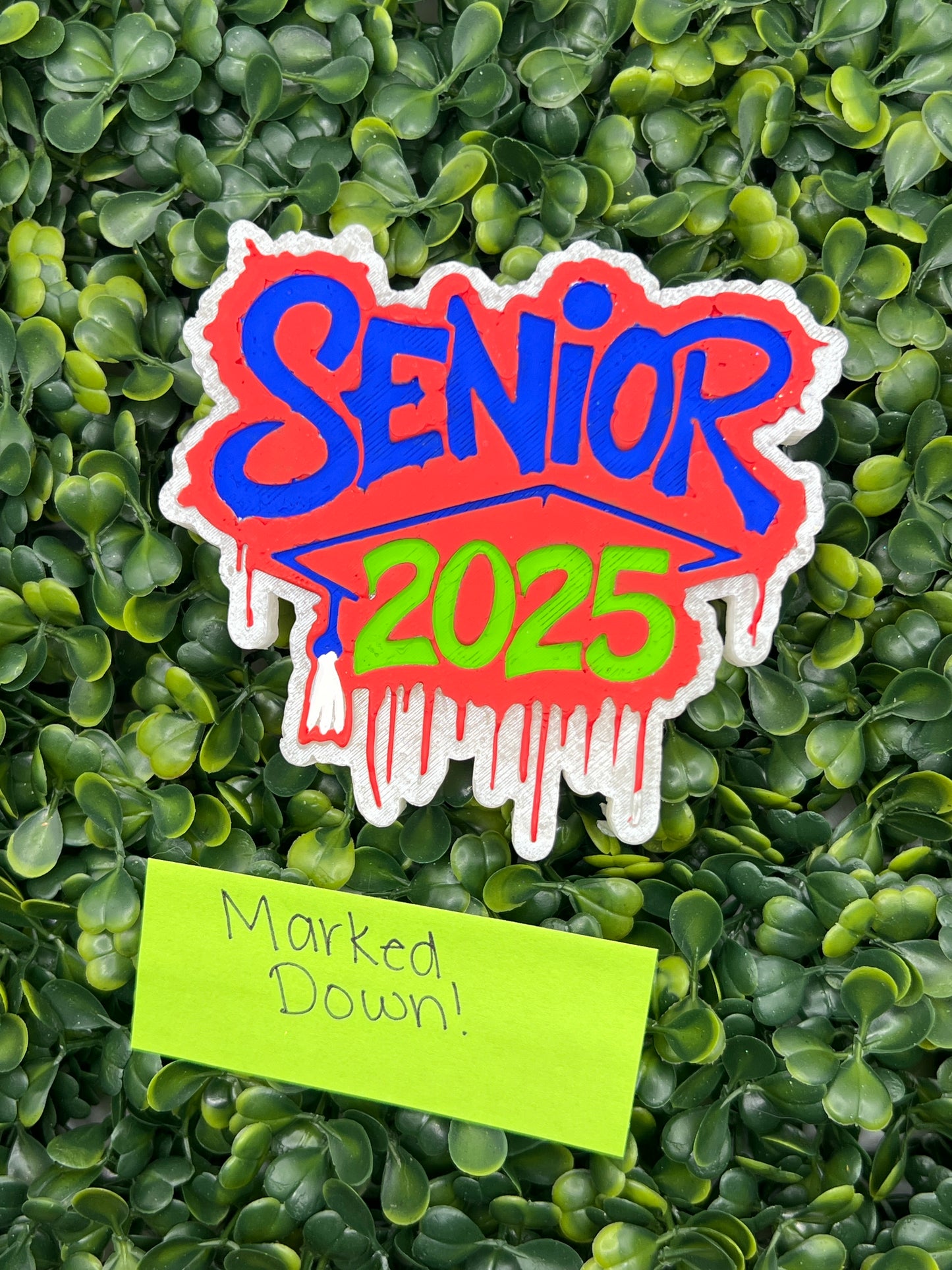 Senior Mold