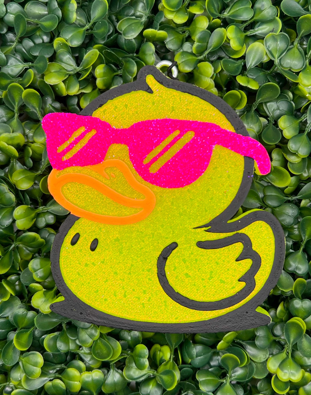 Summer Duck