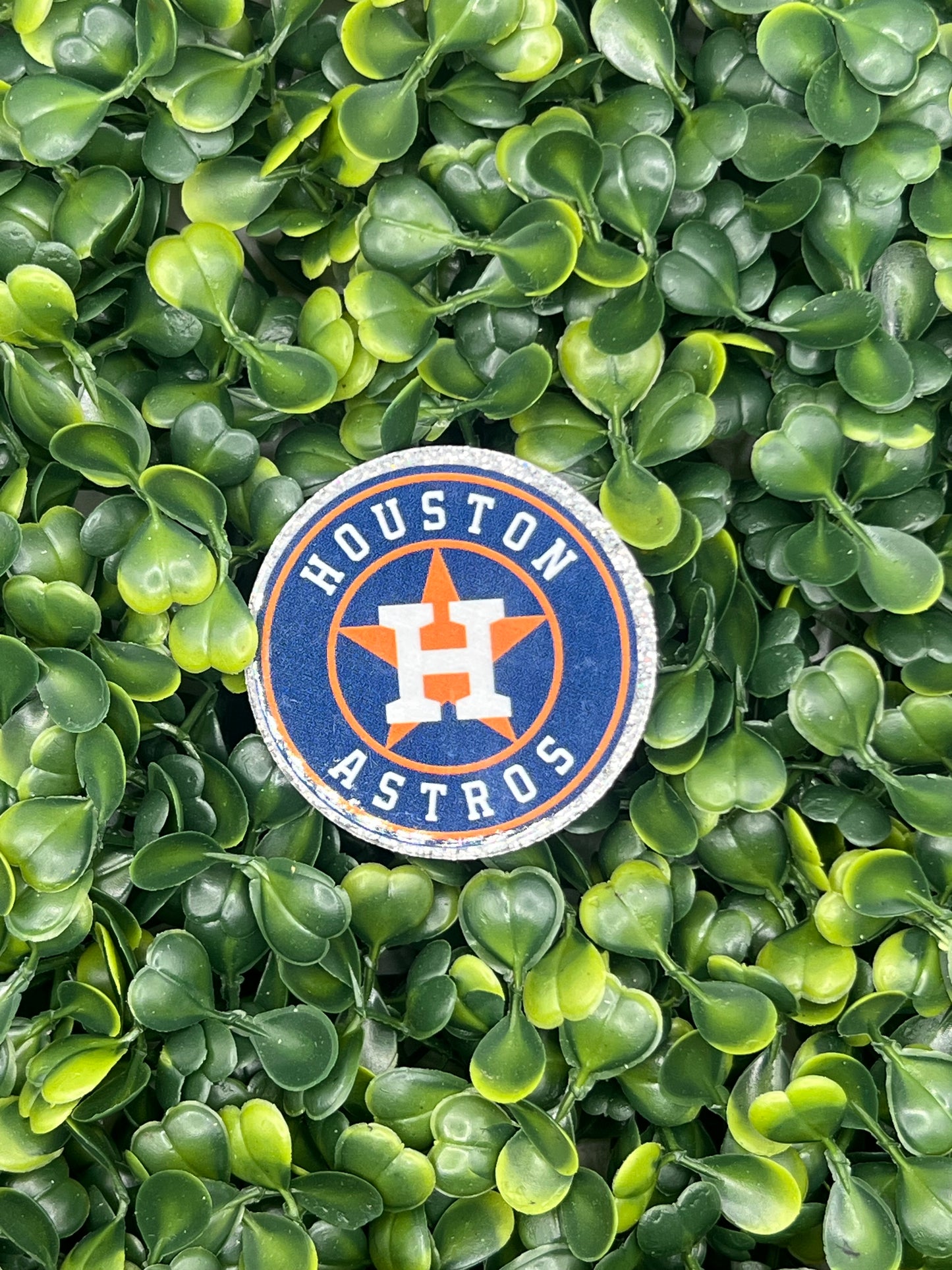 Astros Acrylic